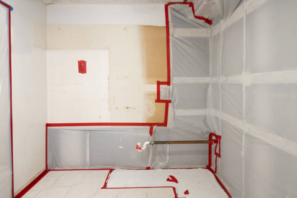 Best Industrial Mold Remediation  in Elsberry, MO