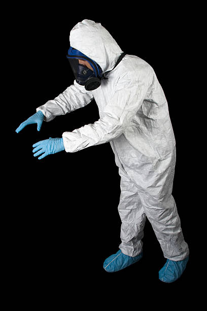 Best Mold Documentation for Insurance Claims  in Elsberry, MO